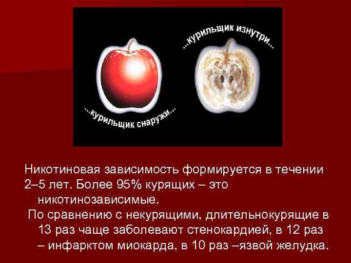 Никотиновая зависимость формируется в течении 2– 5 лет. Более 95% курящих – это никотинозависимые.