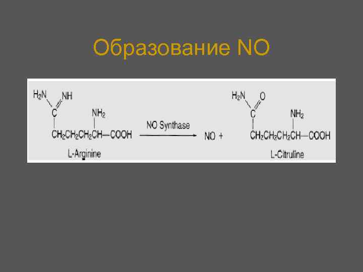 Образование NO 