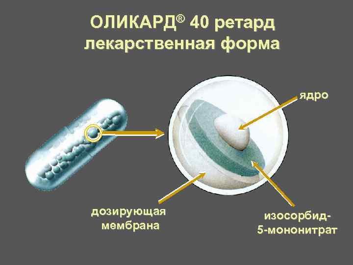 ОЛИКАРД® 40 ретард лекарственная форма ядро дозирующая мембрана изосорбид 5 -мононитрат 