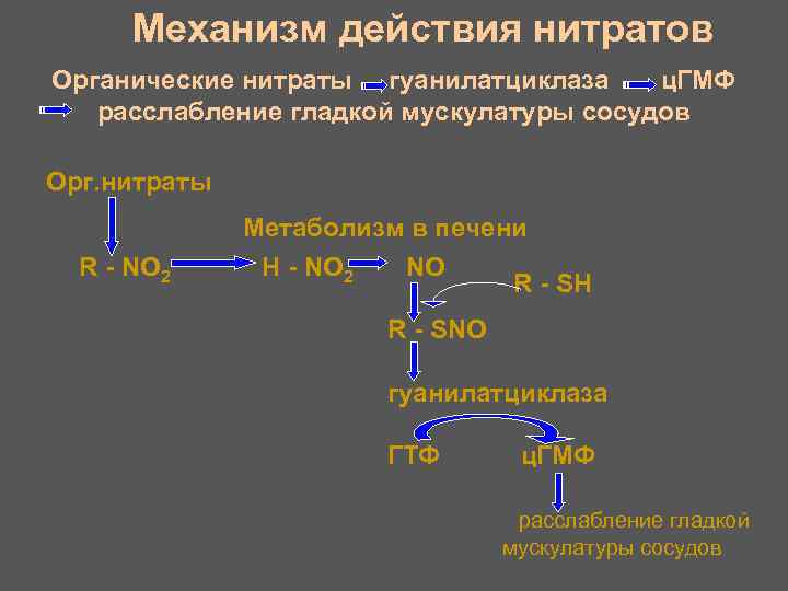 Механизм действия нитратов Органические нитраты гуанилатциклаза ц. ГМФ расслабление гладкой мускулатуры сосудов Орг. нитраты