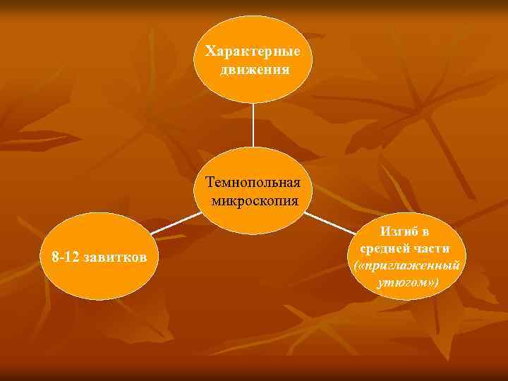 Характерные движения Темнопольная микроскопия 8 -12 завитков Изгиб в средней части ( «приглаженный утюгом»