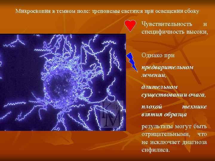 Микроскопия в темном поле: трепонемы светятся при освещении сбоку Чувствительность и специфичность высоки, Однако