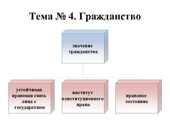Тема № 4. Гражданство значение гражданства устойчивая правовая связь лица с государством институт конституционного