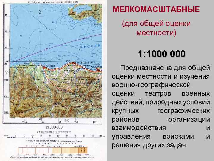 МЕЛКОМАСШТАБНЫЕ (для общей оценки местности) 1: 1000 Предназначена для общей оценки местности и изучения