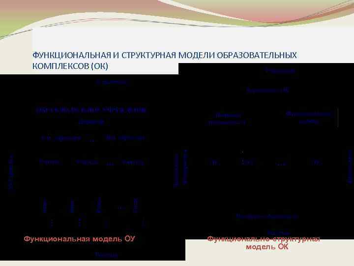 ФУНКЦИОНАЛЬНАЯ И СТРУКТУРНАЯ МОДЕЛИ ОБРАЗОВАТЕЛЬНЫХ КОМПЛЕКСОВ (ОК) Функциональная модель ОУ Функционально-структурная модель ОК 