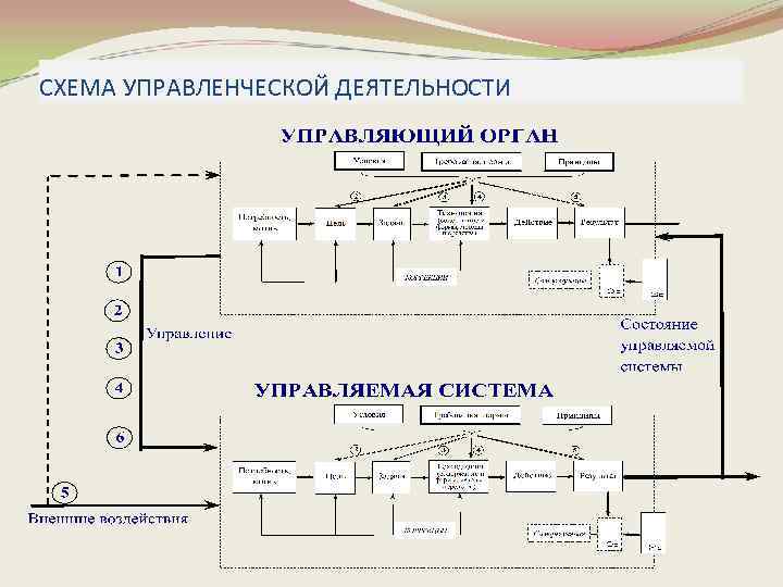 СХЕМА УПРАВЛЕНЧЕСКОЙ ДЕЯТЕЛЬНОСТИ 