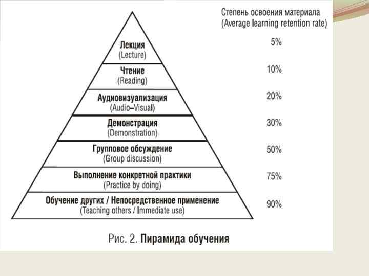 Система лекция. Пирамида образования в Великобритании.