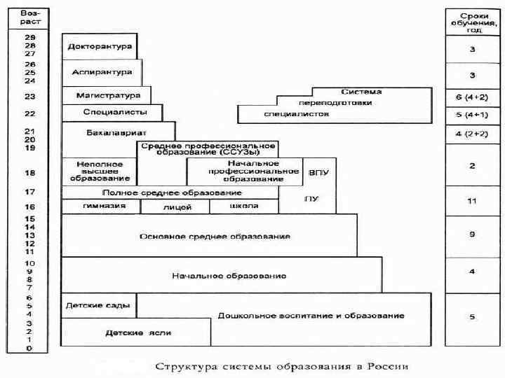 Охарактеризуйте систему начального среднего и высшего образования