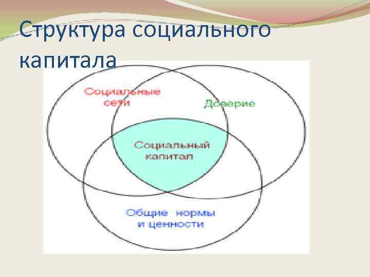 Структура социального капитала 