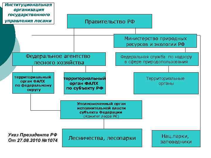 Схема структуры министерства природных ресурсов и экологии рф