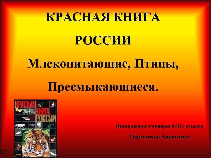 Книга млекопитающие россии. Красная книга России млекопитающие.