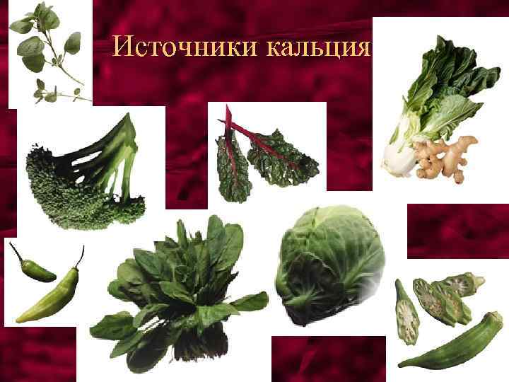 Источники кальция 