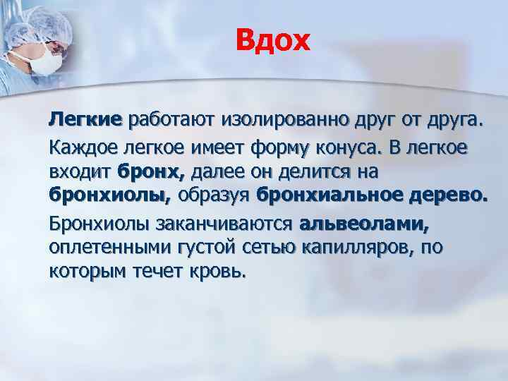 Вдох Легкие работают изолированно друг от друга. Каждое легкое имеет форму конуса. В легкое
