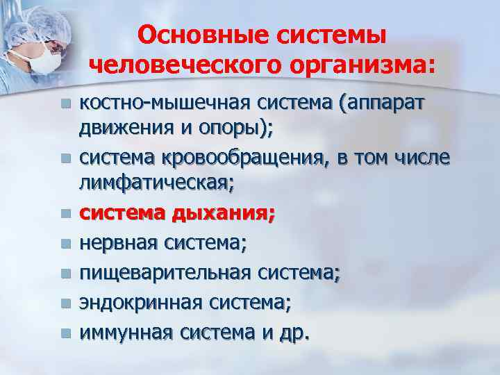Основные системы человеческого организма: n n n n костно-мышечная система (аппарат движения и опоры);