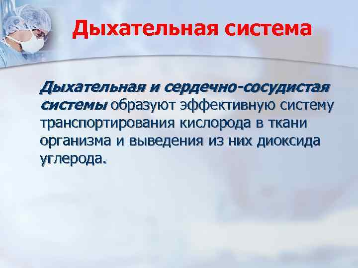 Дыхательная система Дыхательная и сердечно-сосудистая системы образуют эффективную систему транспортирования кислорода в ткани организма