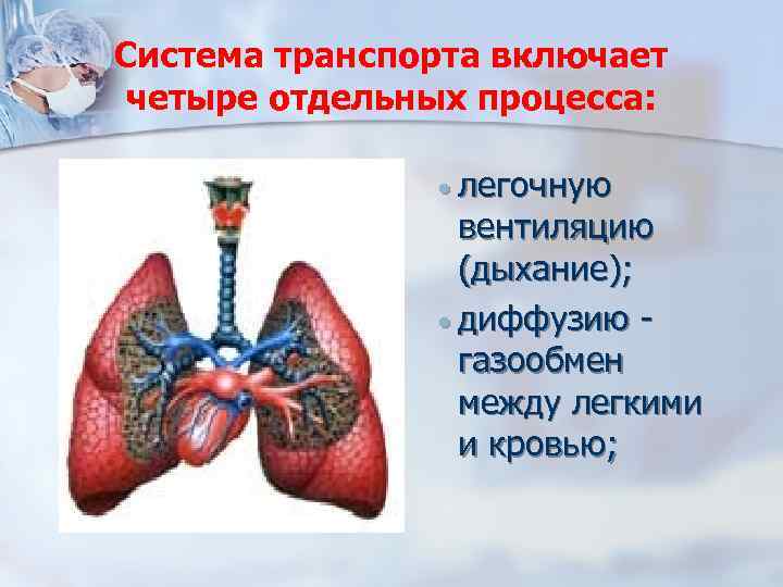 Система транспорта включает четыре отдельных процесса: · легочную вентиляцию (дыхание); · диффузию газообмен между