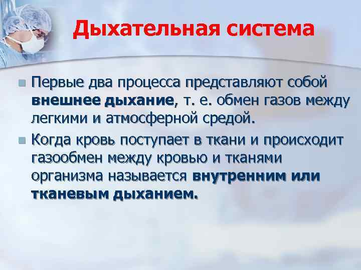 Дыхательная система Первые два процесса представляют собой внешнее дыхание, т. е. обмен газов между