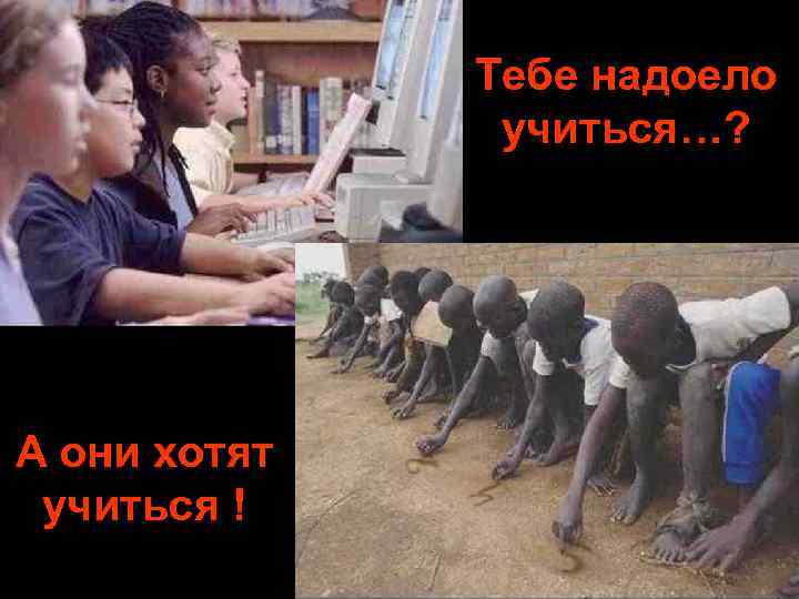Тебе надоело учиться…? A они хотят учиться ! 