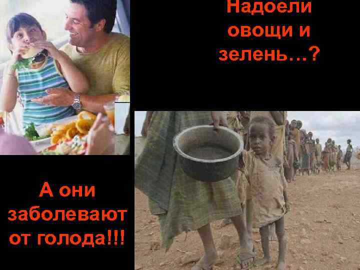 Надоели овощи и зелень…? A они заболевают от голода!!! 