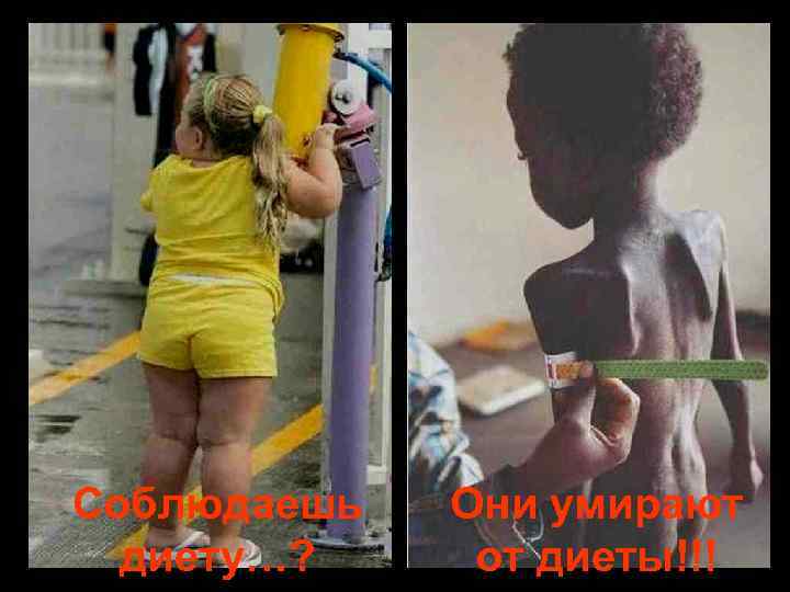 Соблюдаешь диету…? Они умирают от диеты!!! 