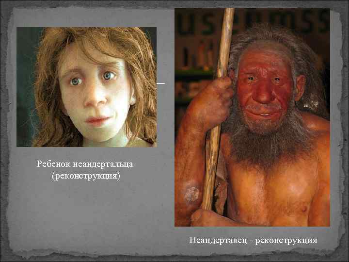 Ребенок неандертальца (реконструкция) Неандерталец - реконструкция 