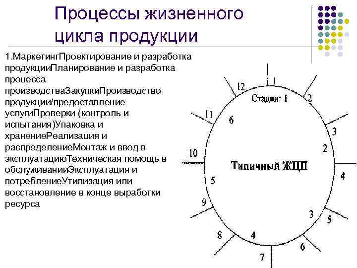 Этапы жизненных процессов