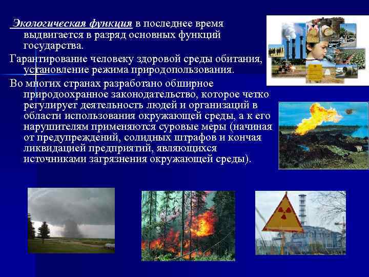 Экологическая функция в последнее время выдвигается в разряд основных функций государства. Гарантирование человеку здоровой
