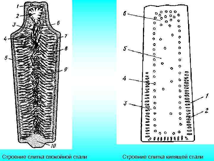 Схема строения слитка