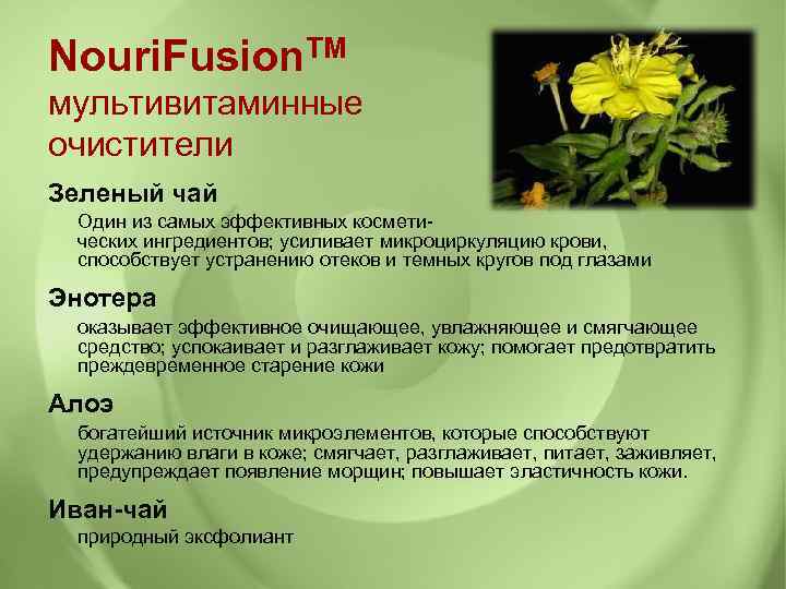 Nouri. Fusion. TM мультивитаминные очистители Зеленый чай Один из самых эффективных космети- ческих ингредиентов;