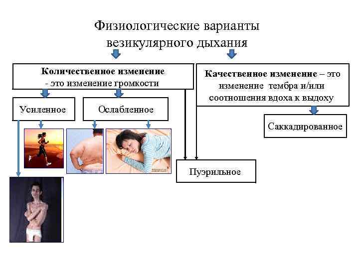 Физиологические варианты везикулярного дыхания Количественное изменение - это изменение громкости Усиленное Качественное изменение –