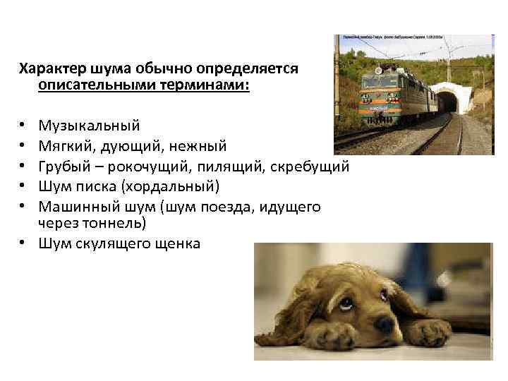 Характер шума обычно определяется описательными терминами: Музыкальный Мягкий, дующий, нежный Грубый – рокочущий, пилящий,