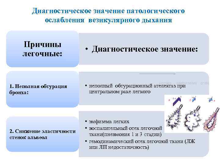 Диагностическое значение. Механизм образования везикулярного дыхания. Диагностическое значение везикулярного дыхания. Механизм возникновения нормального везикулярного дыхания. Механизм образования везикулярного и бронхиального дыхания.