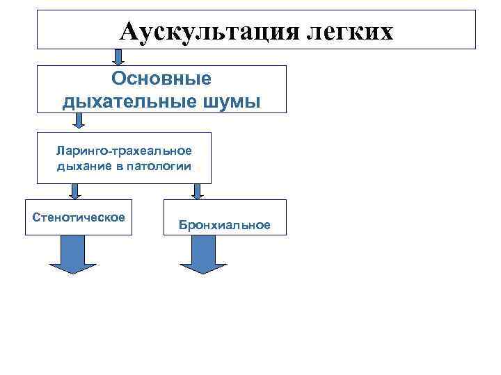 Основной легкая