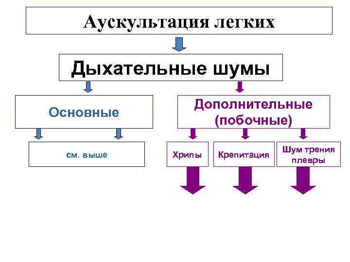 Виды дыхания при аускультации легких схема