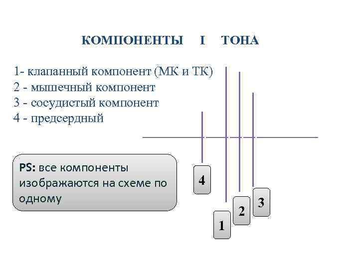 КОМПОНЕНТЫ I ТОНА 1 - клапанный компонент (МК и ТК) 2 - мышечный компонент