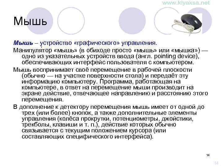 Мышь – устройство «графического» управления. Манипуля тор «мышь» (в обиходе просто «мышь» или «мышка»