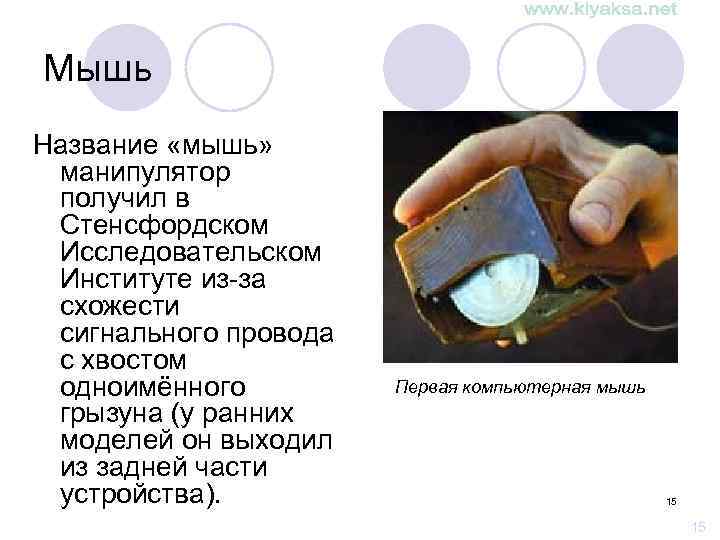 Мышь Название «мышь» манипулятор получил в Стенсфордском Исследовательском Институте из-за схожести сигнального провода с