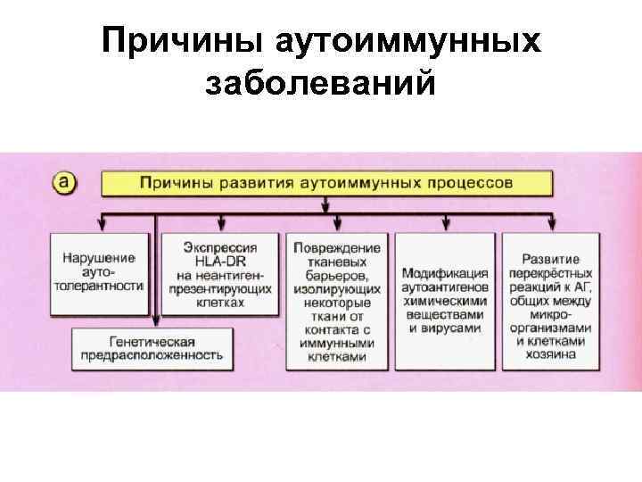 Аутоиммунные заболевания что это. Классификация аутоиммунных заболеваний патанатомия. Факторы аутоиммунных заболеваний. Факторы развития аутоиммунных заболеваний. Аутоиммунные болезни причины.