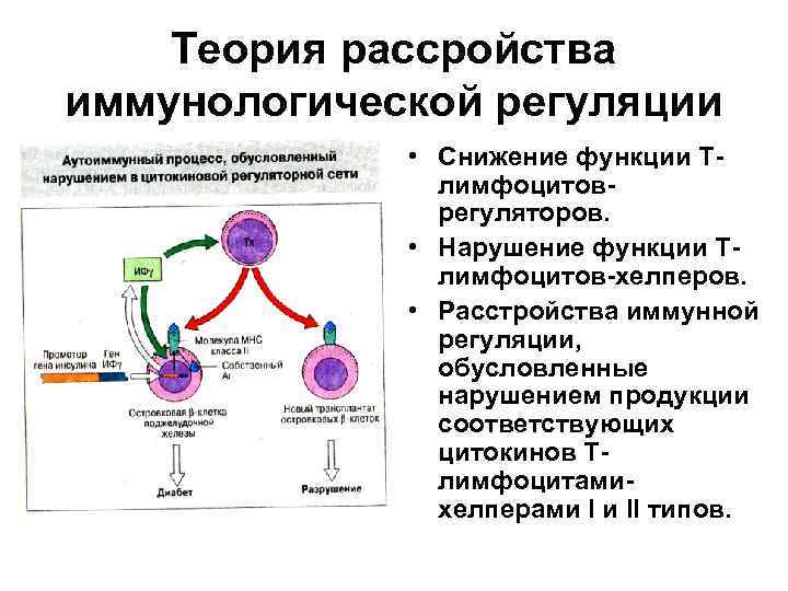 Регуляция иммунных процессов. Регуляция иммунитета. Механизмы регуляции иммунного ответа. Нейрогуморальная регуляция иммунного ответа.