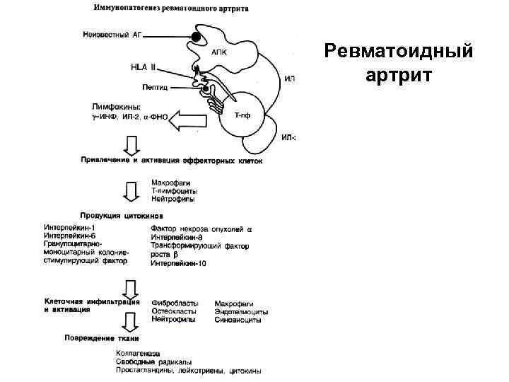 Аутоиммунный эндометрит лечение схема