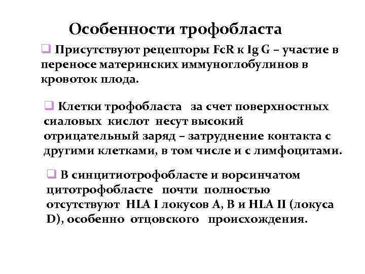 Особенности трофобласта Присутствуют рецепторы Fc. R к Ig G – участие в переносе материнских