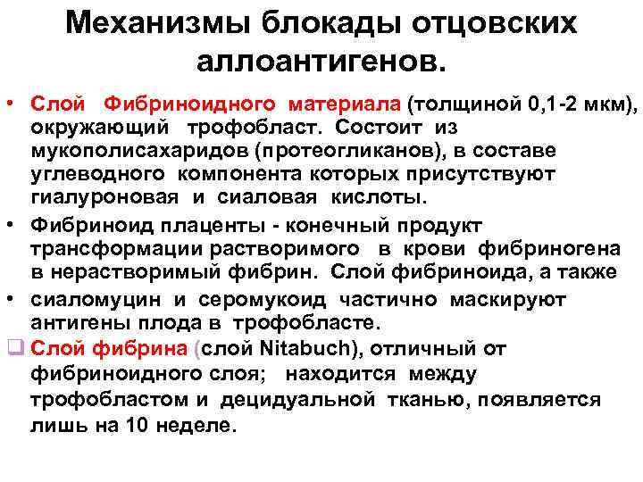 Механизмы блокады отцовских аллоантигенов. • Слой Фибриноидного материала (толщиной 0, 1 -2 мкм), окружающий