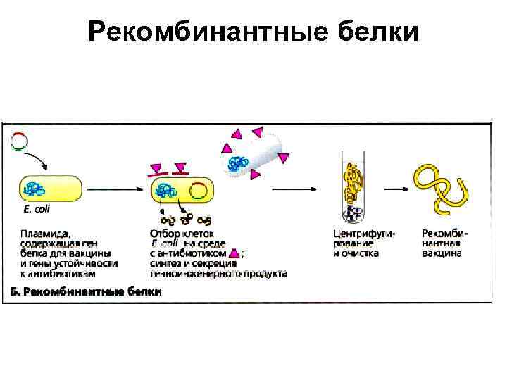 Картинки по иммунопрофилактике