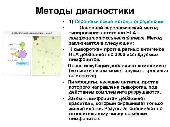 Методы диагностики • 1) Серологические методы определения • Основной серологический метод типирования антигенов HLA