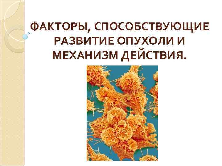 ФАКТОРЫ, СПОСОБСТВУЮЩИЕ РАЗВИТИЕ ОПУХОЛИ И МЕХАНИЗМ ДЕЙСТВИЯ. 