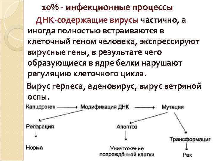 10% - инфекционные процессы ДНК-содержащие вирусы частично, а иногда полностью встраиваются в клеточный геном