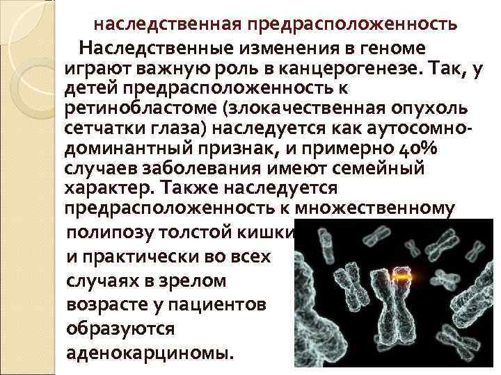 наследственная предрасположенность Наследственные изменения в геноме играют важную роль в канцерогенезе. Так, у детей