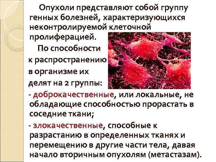 Опухоли представляют собой группу генных болезней, характеризующихся неконтролируемой клеточной пролиферацией. По способности к распространению