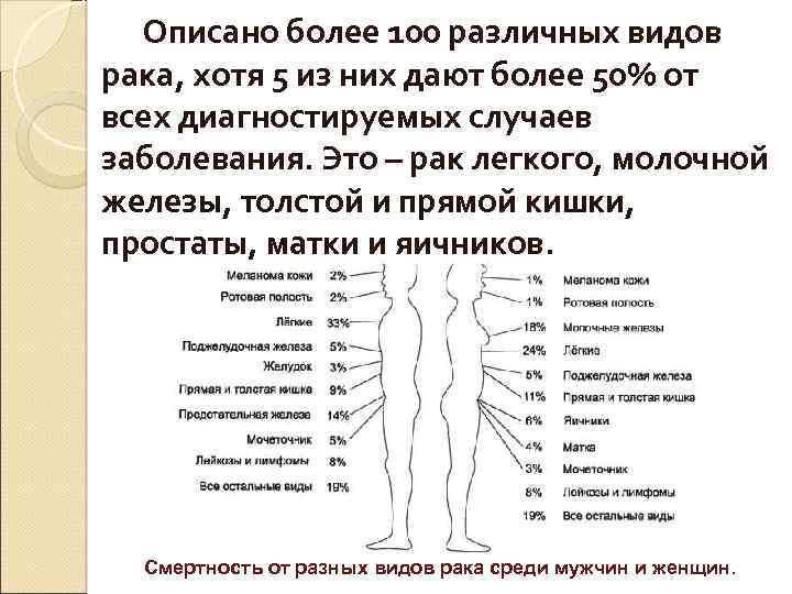 Описано более 100 различных видов рака, хотя 5 из них дают более 50% от