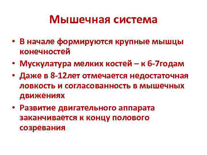 Мышечная система • В начале формируются крупные мышцы конечностей • Мускулатура мелких костей –